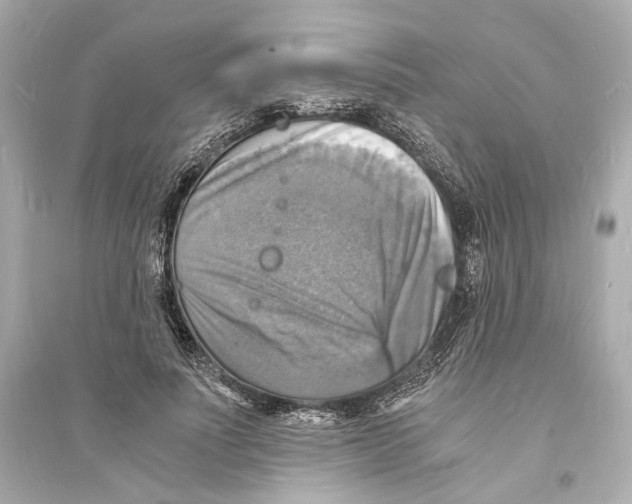 X0000093730691200711131038