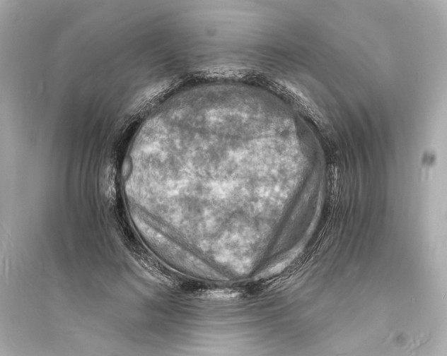 X0000093730692200711131038