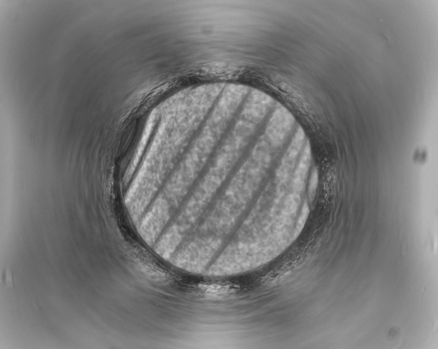 X0000093730693200711131038