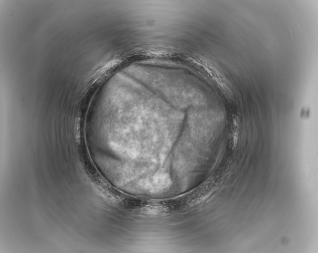 X0000093730696200711131038