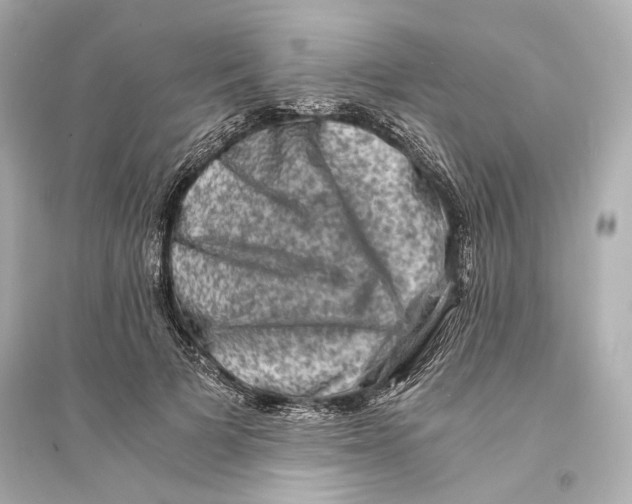 X0000093730697200711131038