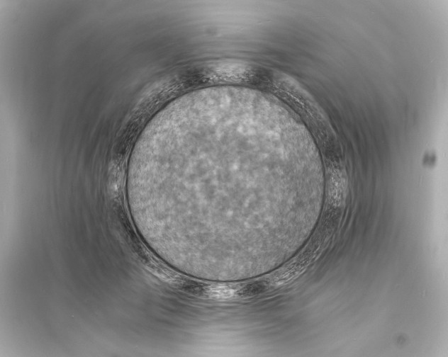 X0000093730701200711131038
