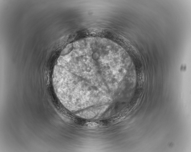 X0000093730703200711131038