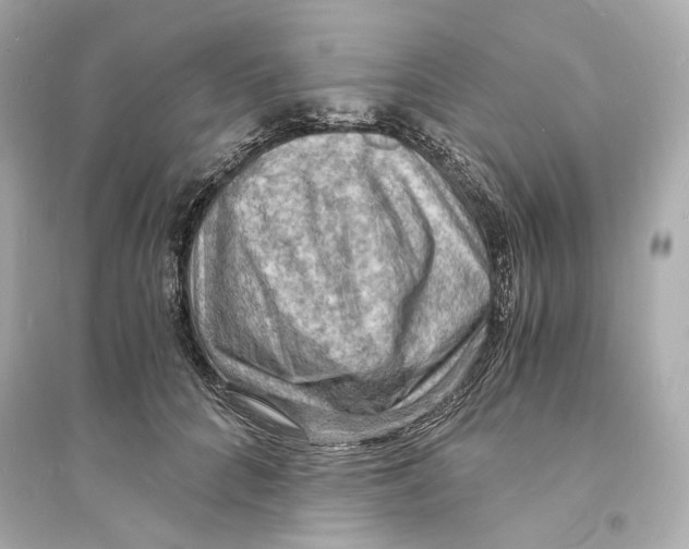 X0000093730704200711131038