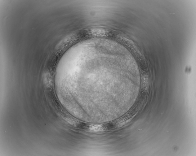 X0000093730705200711131038