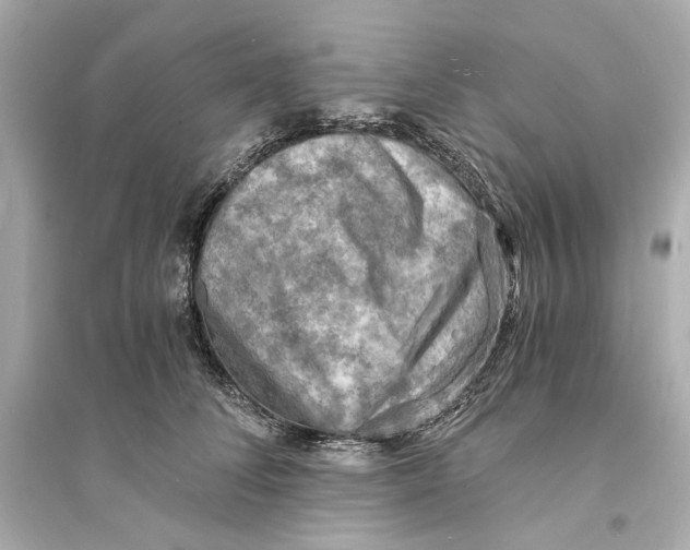 X0000093730708200711131038