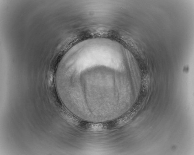 X0000093730709200711131038