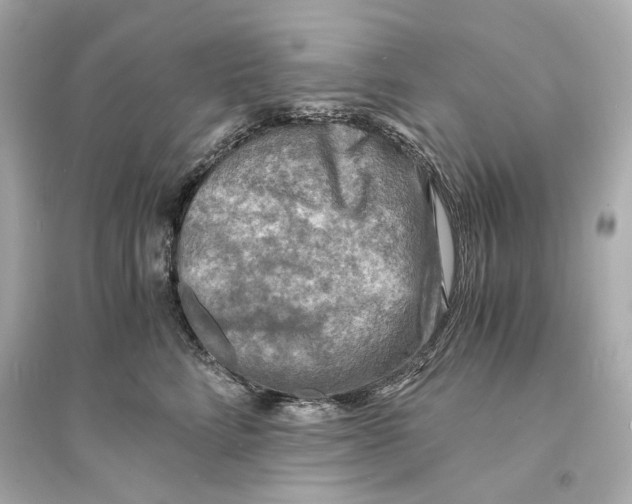 X0000093730712200711131038