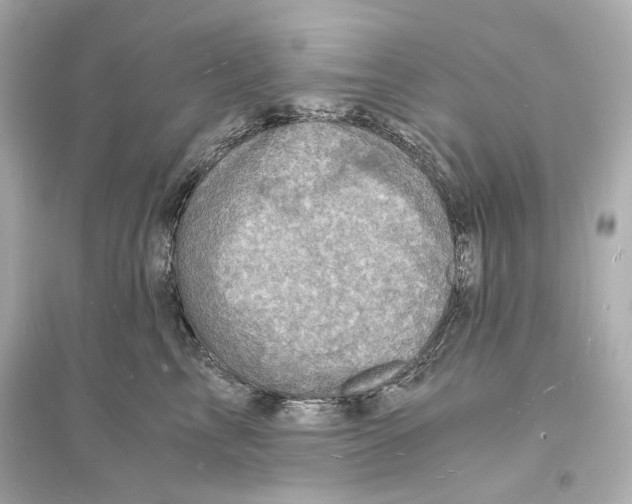 X0000093730713200711131038