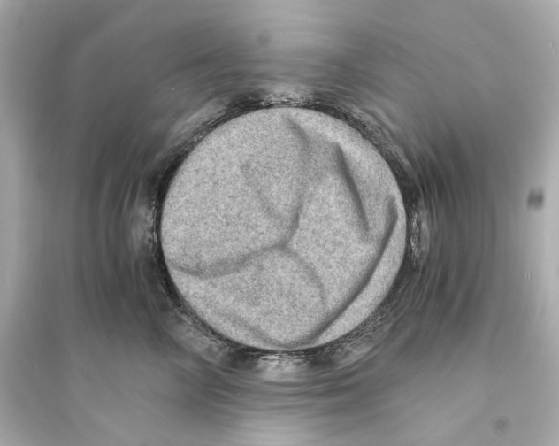 X0000093730714200711131038