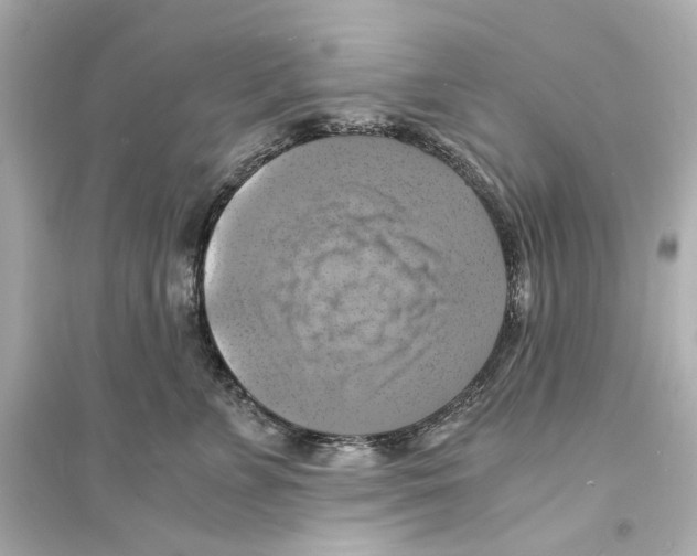 X0000093730715200711131038