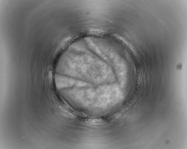 X0000093730716200711131038