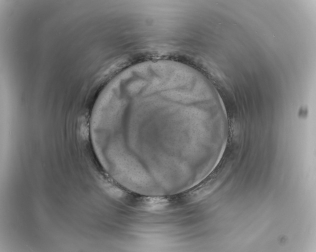 X0000093730719200711131038