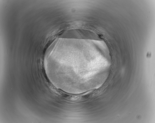 X0000093730720200711131038