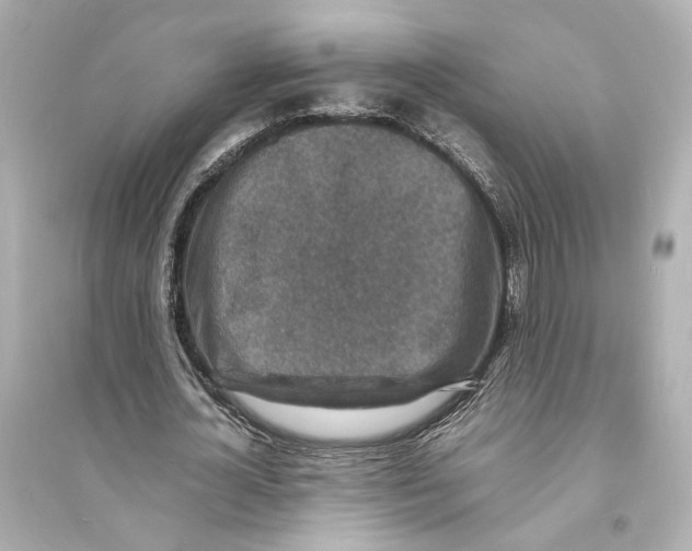 X0000093730724200711131037