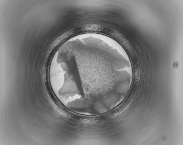 X0000093730725200711131037