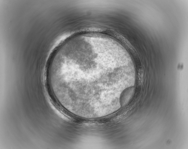 X0000093730726200711131037