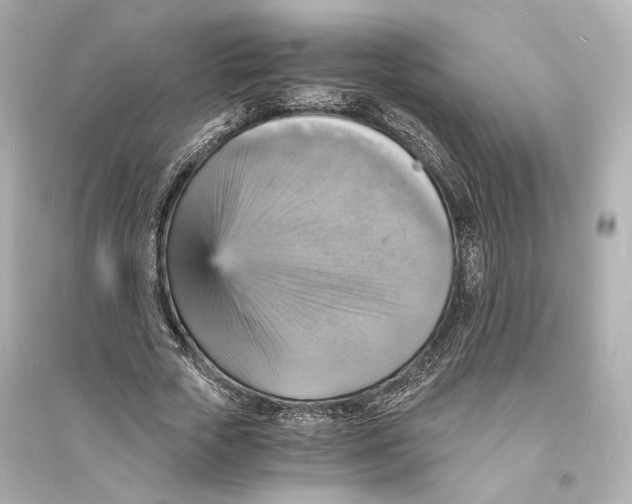 X0000093730729200711131037