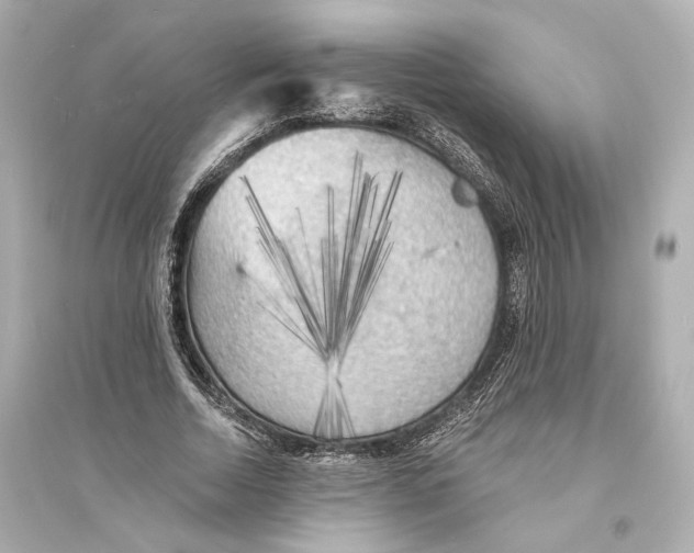 X0000093730730200711131037