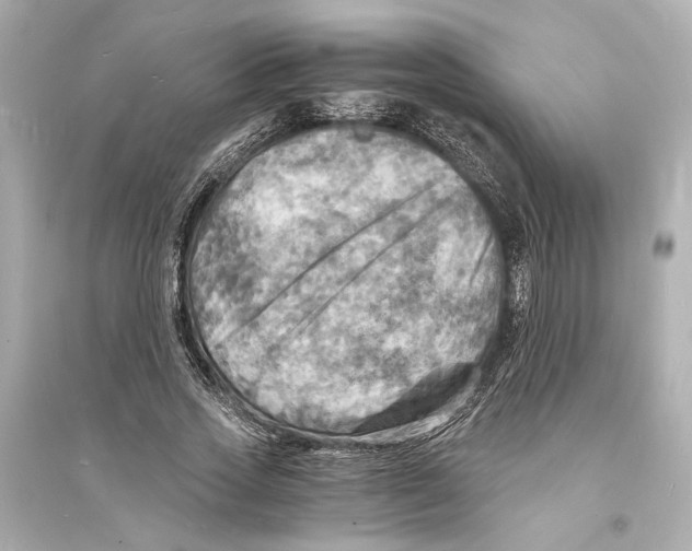 X0000093730733200711131037