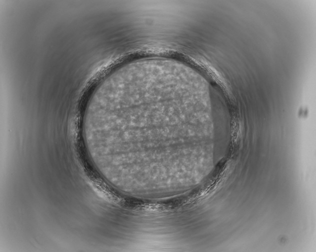 X0000093730736200711131037