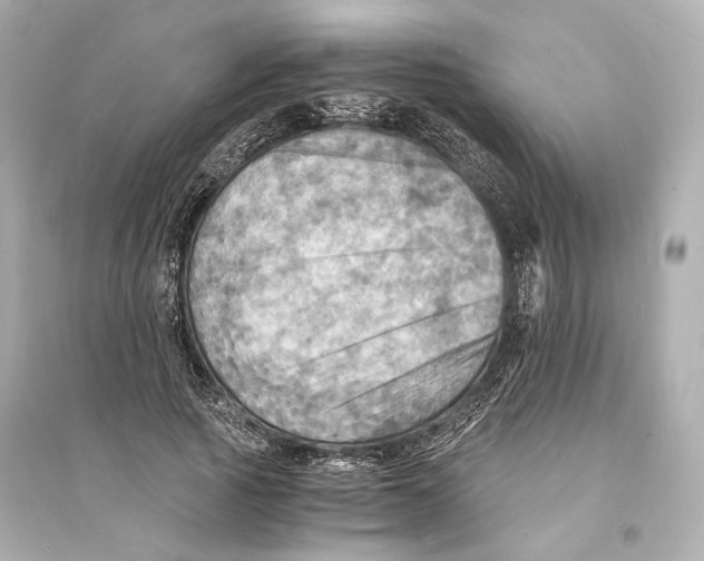 X0000093730737200711131037