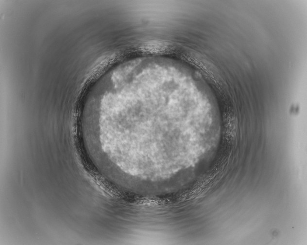 X0000093730738200711131037