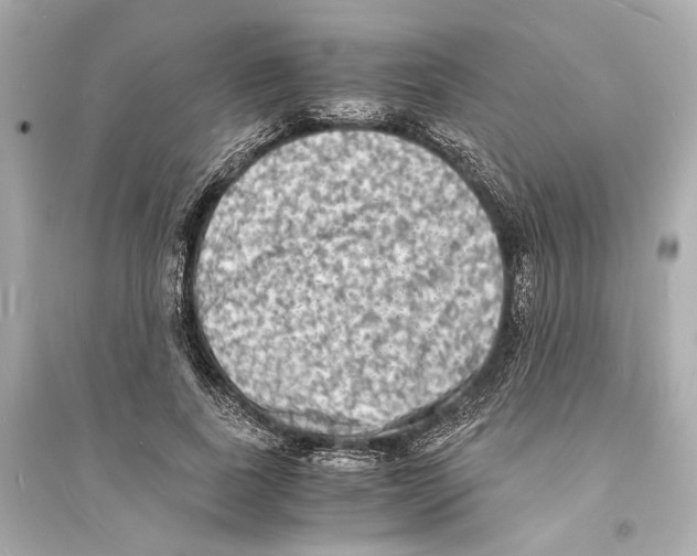 X0000093730739200711131037