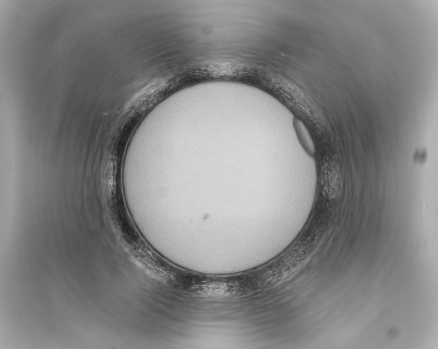 X0000093730740200711131037