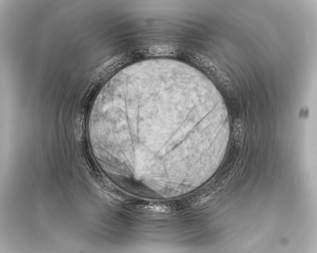 X0000093730741200711131037