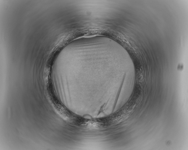 X0000093730742200711131037