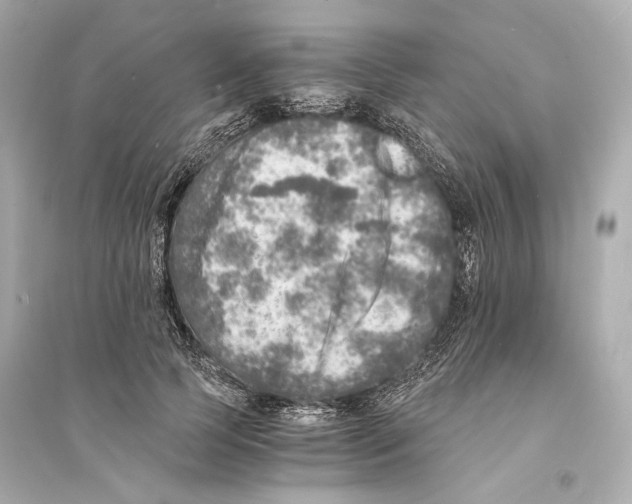 X0000093730745200711131037