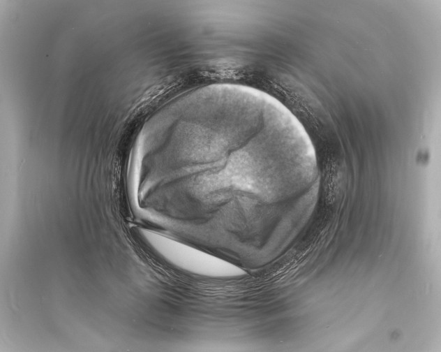 X0000093730747200711131037