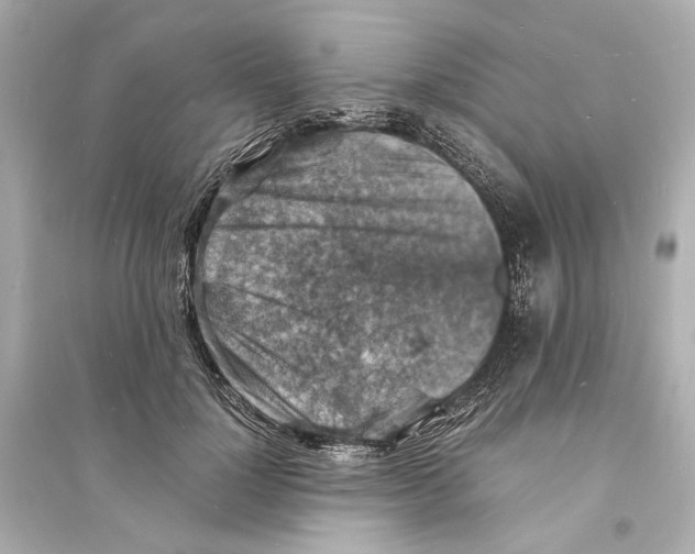 X0000093730748200711131037
