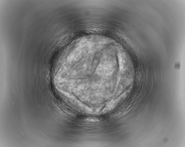 X0000093730749200711131037