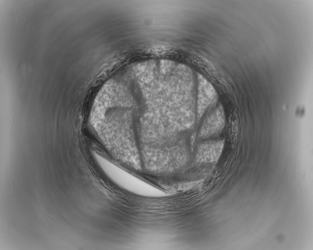 X0000093730750200711131037