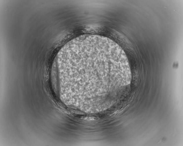 X0000093730751200711131037