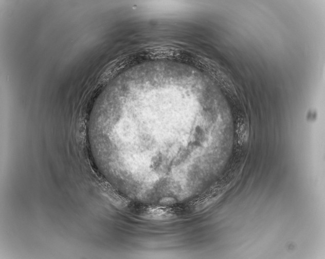 X0000093730753200711131037