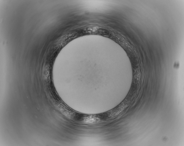 X0000093730754200711131038