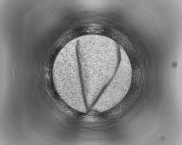 X0000093730755200711131038