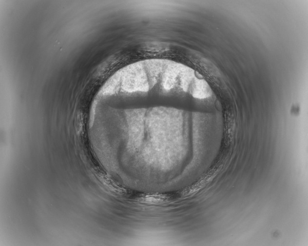 X0000093730758200711131038