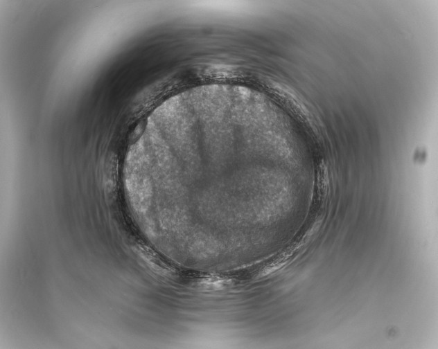 X0000093730760200711131038