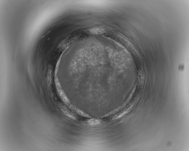 X0000093730762200711131038