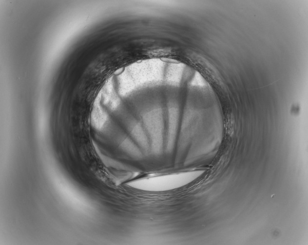 X0000093730763200711131038