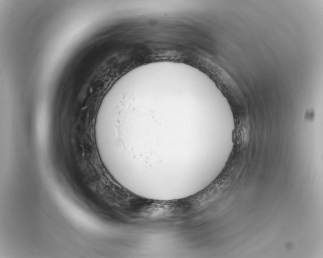 X0000093730764200711131038
