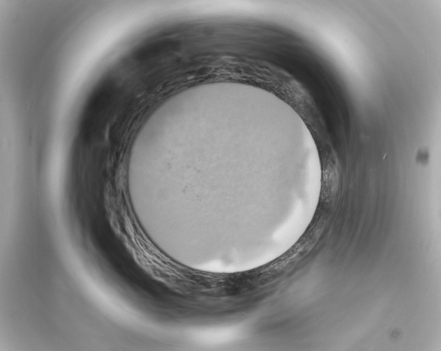 X0000093730765200711131038