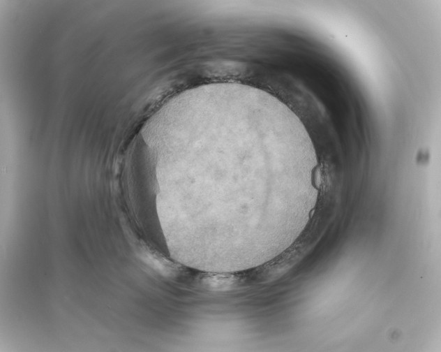 X0000093730767200711131038