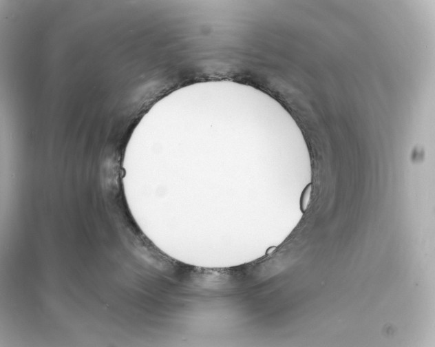 X0000093730768200711131038
