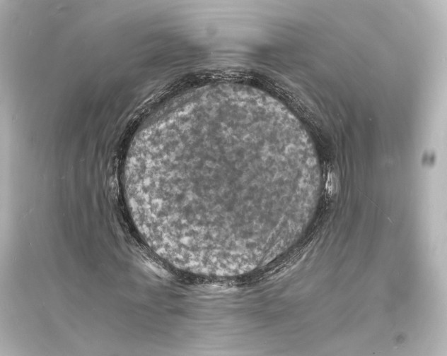 X0000093730771200711131037