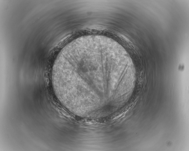 X0000093730774200711131037